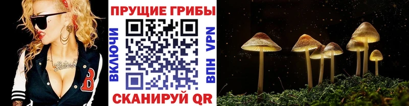 где купить наркоту  Среднеколымск  Галлюциногенные грибы Magic Shrooms 